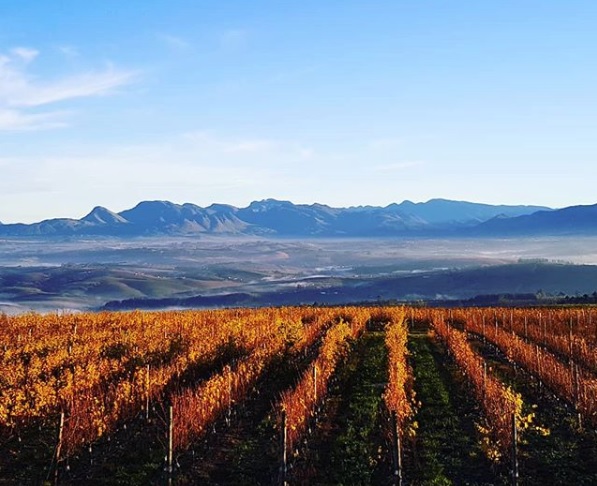 Interview: Iona’s tenacious Andrew Gunn