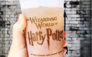 Harry Potter Universal studios