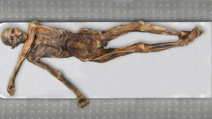 Genetics, otzi, study, research.